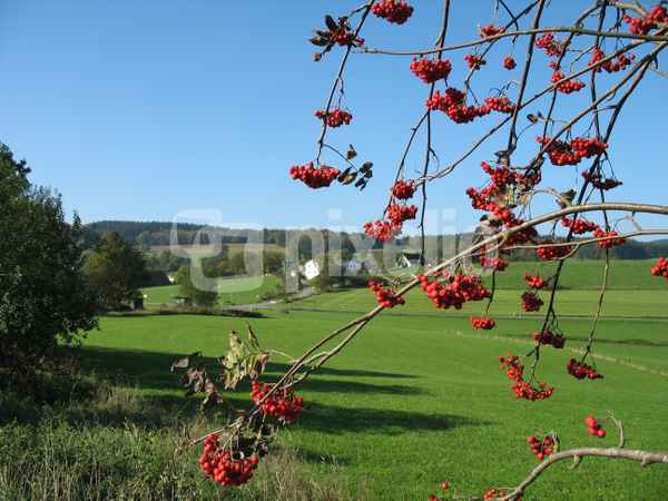 Herbst im Sauerland