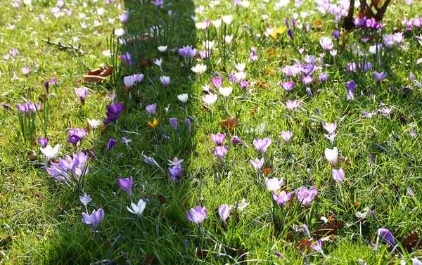 Buntes im Nachmittagslicht