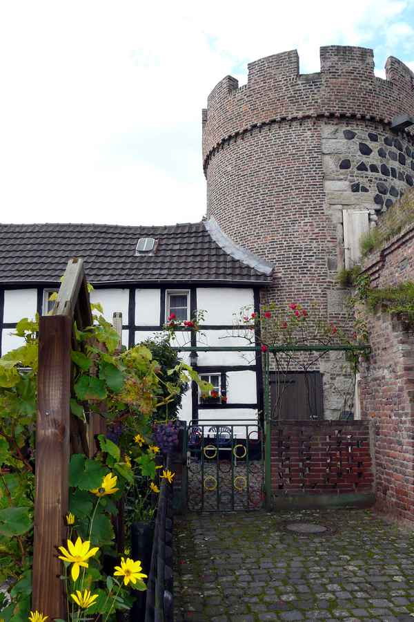 Zons am Rhein #35