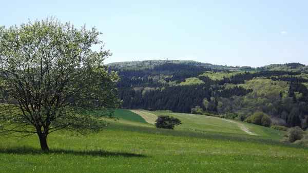 Sicht auf die Vulcano Infoplattform