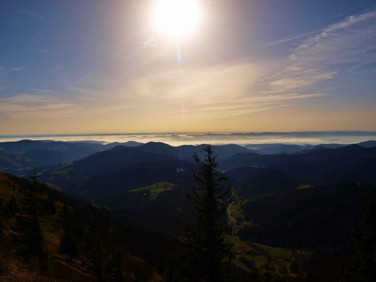 Blick vom Belchen