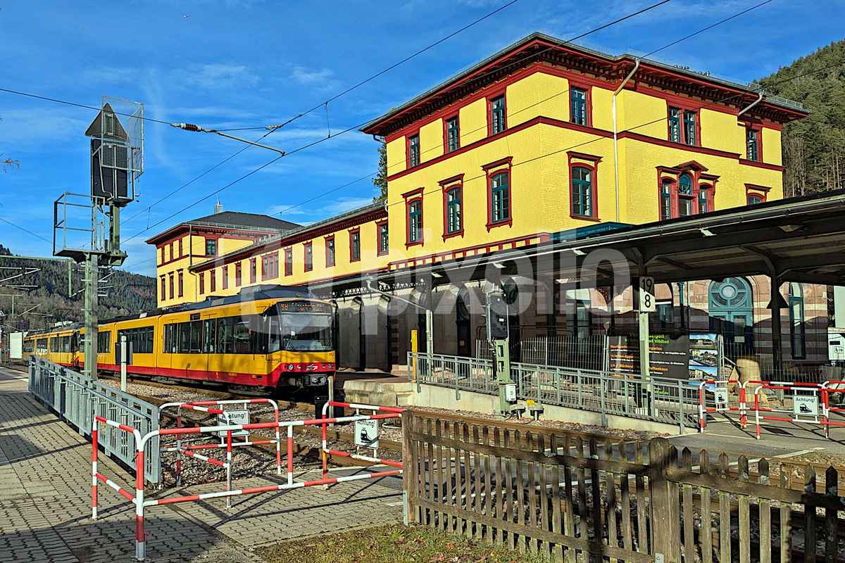 S-Bahn im Bahnhof Bad Wildbad