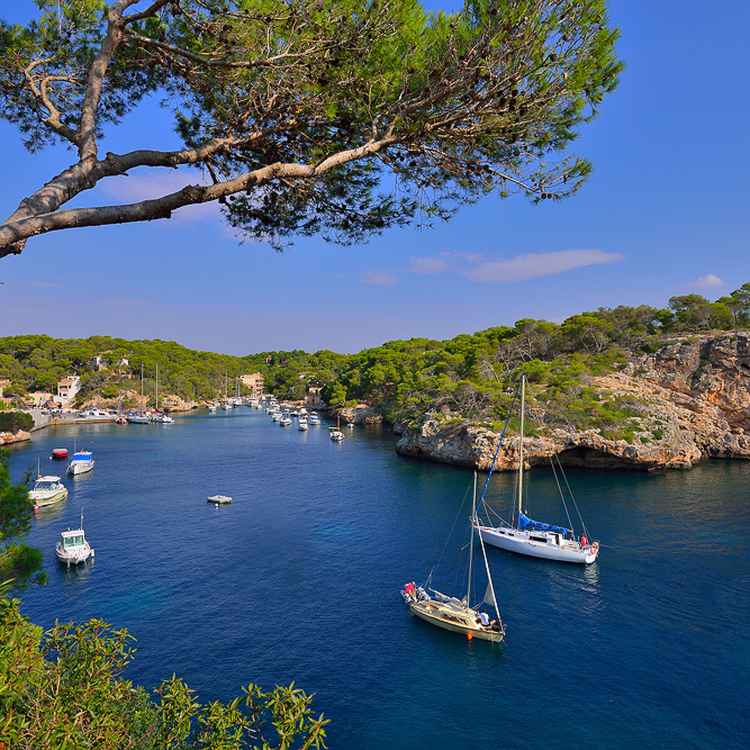 Cala Figuera Mallorca