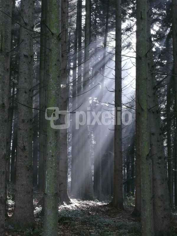 Lichteinfall