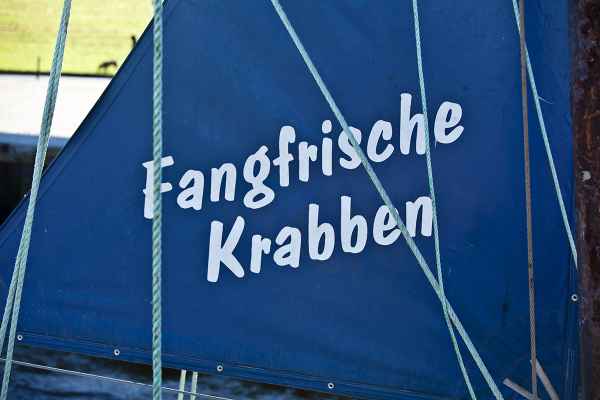 Leider kaum Fang