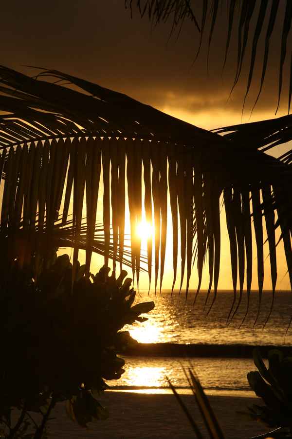 Nachts am Strand