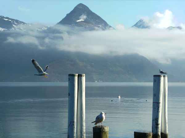 Vierwaldstättersee