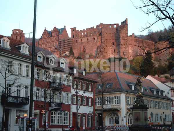 Festung Heidelberg in der Abendsonne