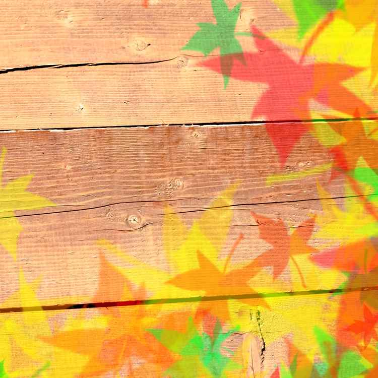 Herbstblätter auf Holzplatte