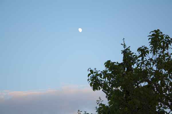 Wolken abends