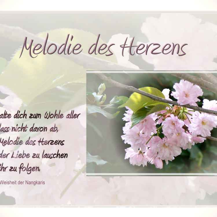 Melodie des Herzens