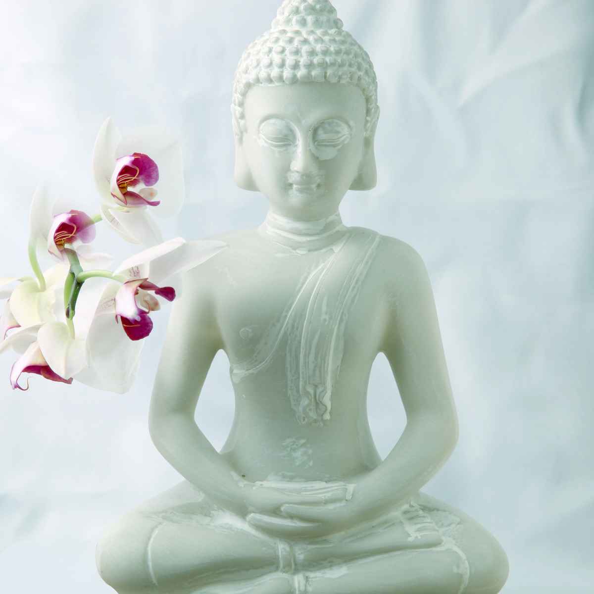 buddha mit Orchidee