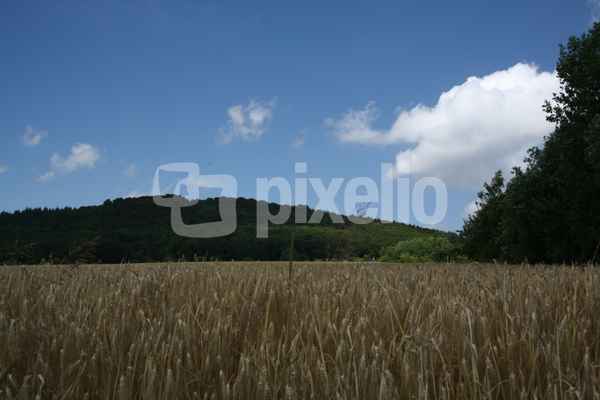 Sommer Zeit 2