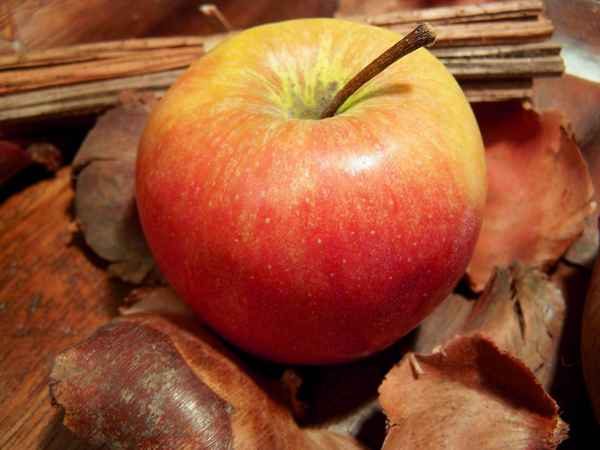 Apfel + Deko 3