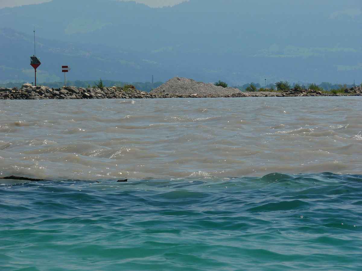 Am Einfluss des Alpenrheins in den Bodensee