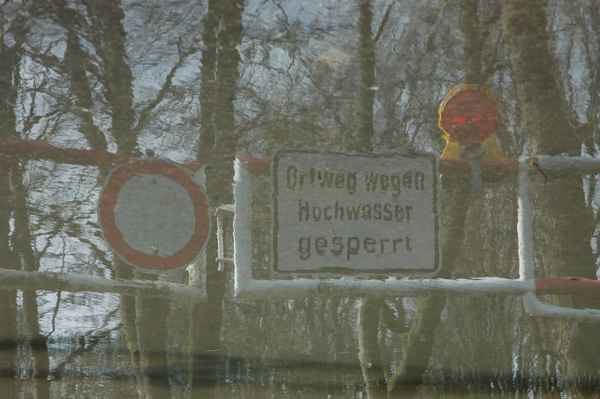 Rheinhochwasser
