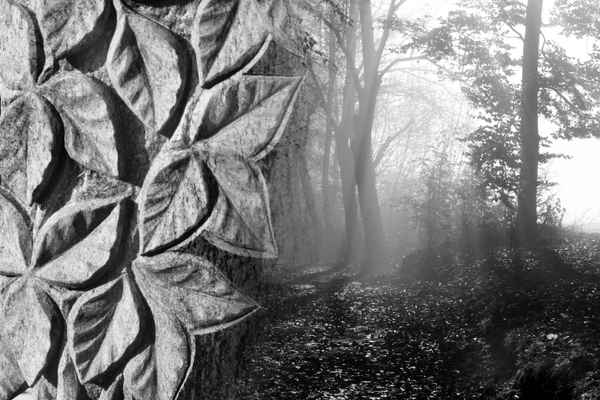 Abschied - der letzte Weg_sw