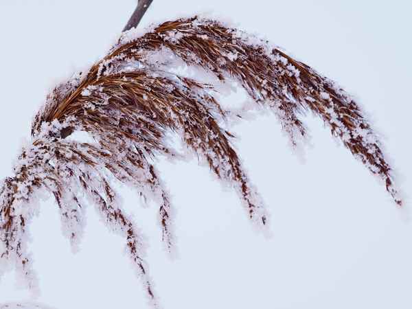 winterimpressionen 1