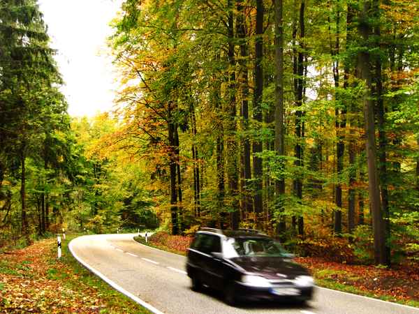 Das Auto im Herbst