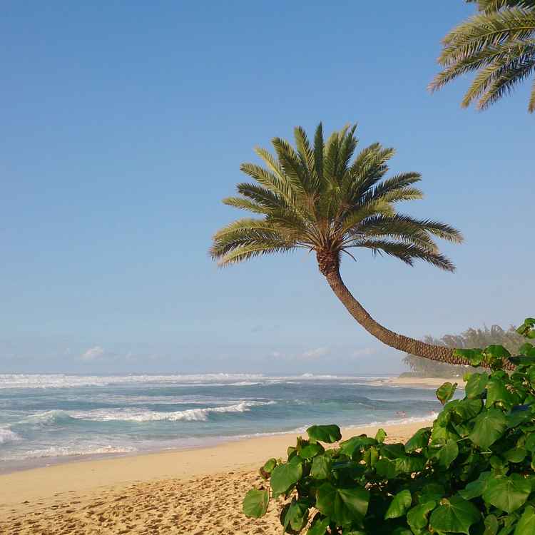 Strand auf Oahu - North Shore