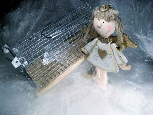 ...ich hab dir einen Stern gefangen