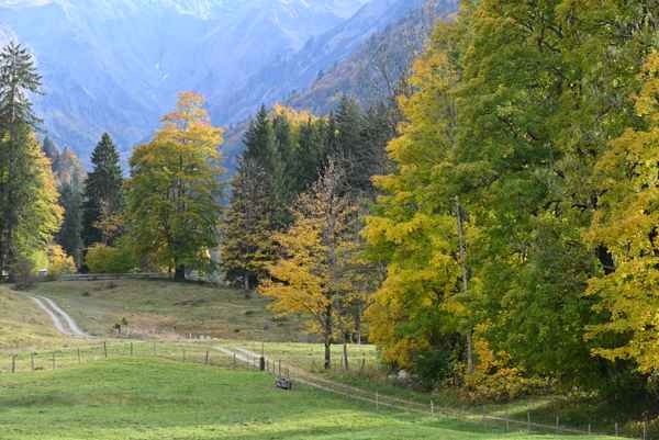Herbst in den Bergen