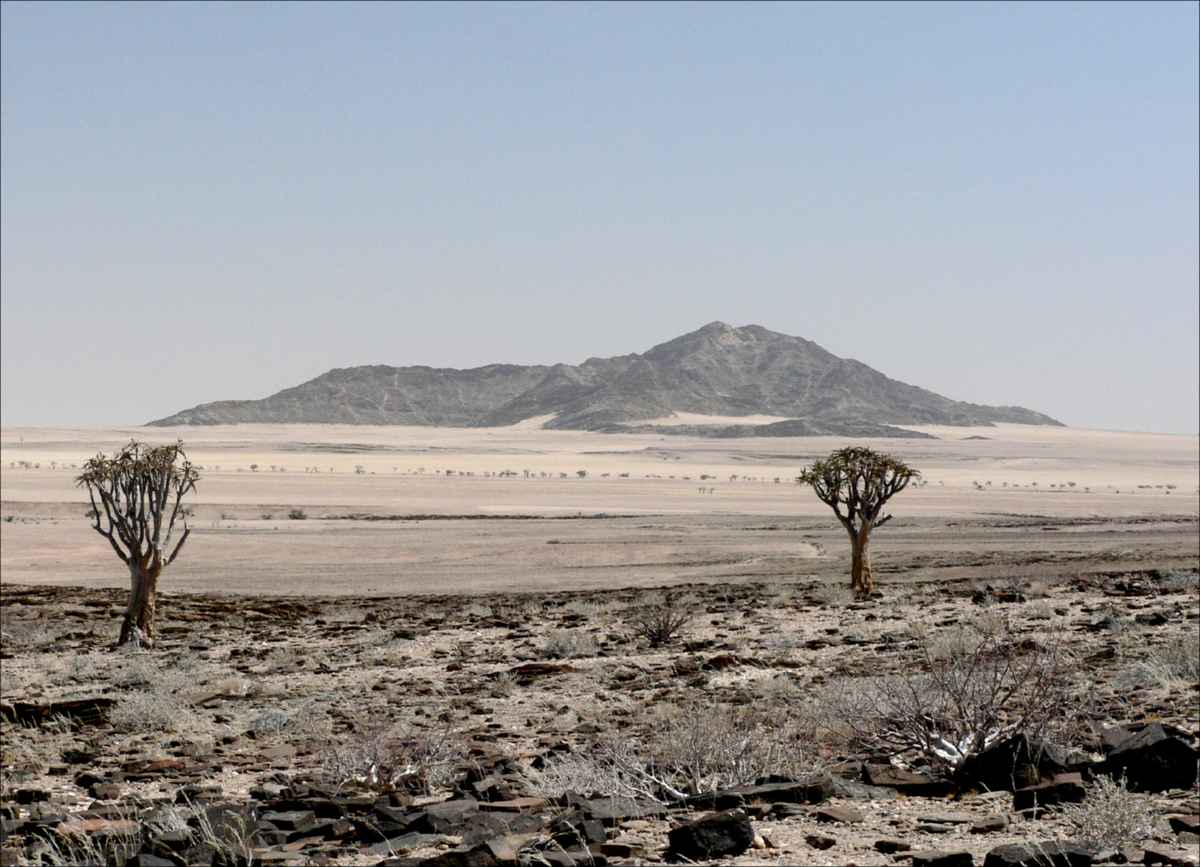 In der Namib