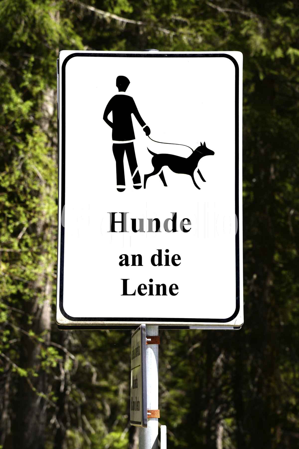Hinweisschild für Hundehalter: Hunde an die Leine!