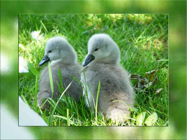 Die Welt entdecken 2