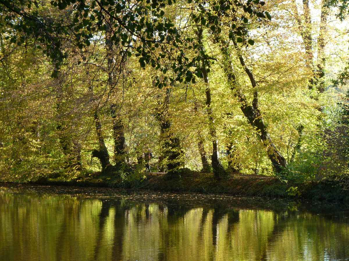 Herbststimmung 1