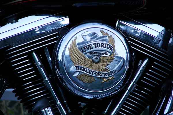 Live to ride -ride to live