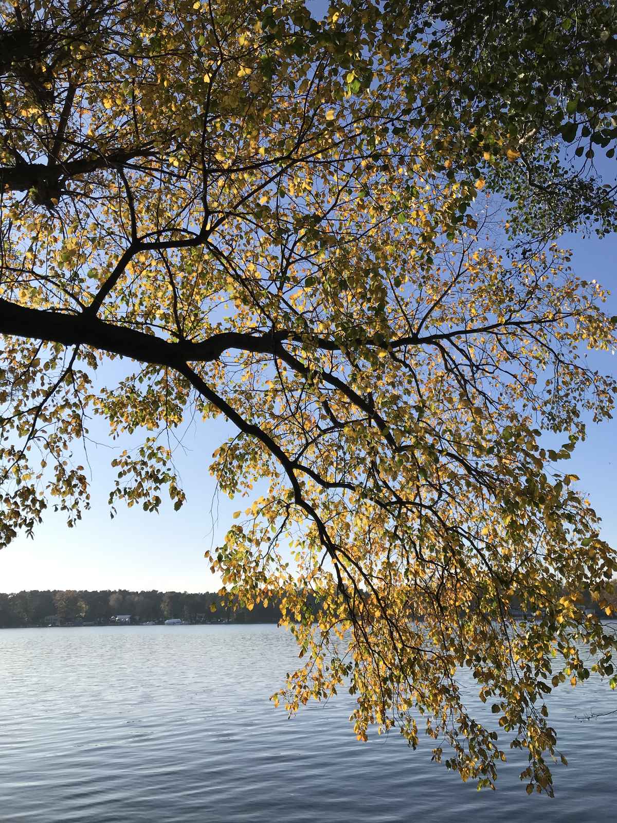 Herbststimmung am See / Foto: Alexander Hauk