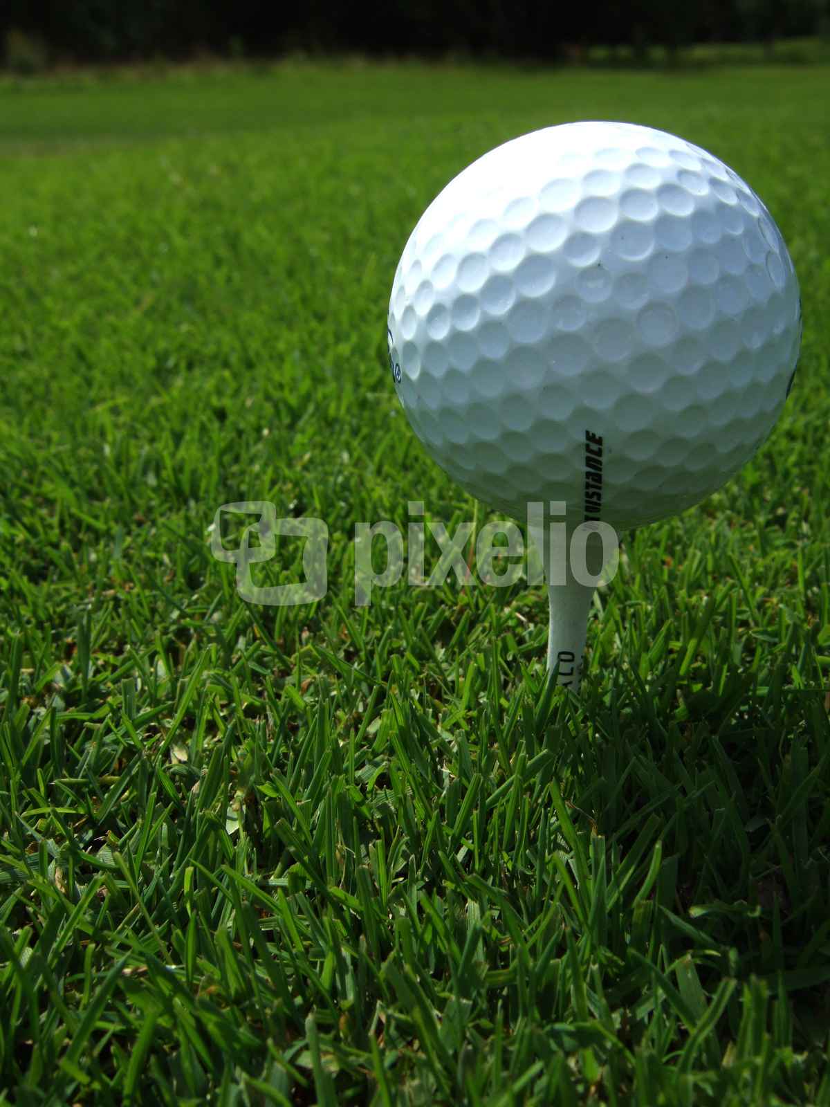 Golfball auf dem Tee