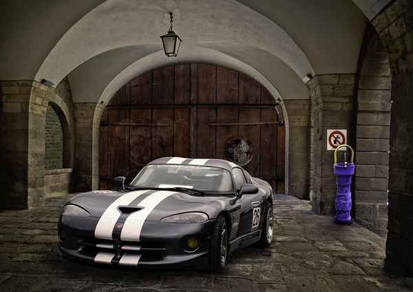 Viper in grosszügiger Garage