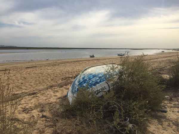 Blau-weißes Boot am Strand