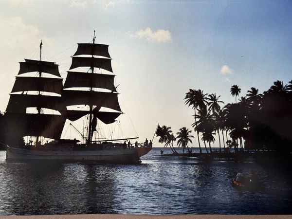 Gro&szlig;segler vor Palmen