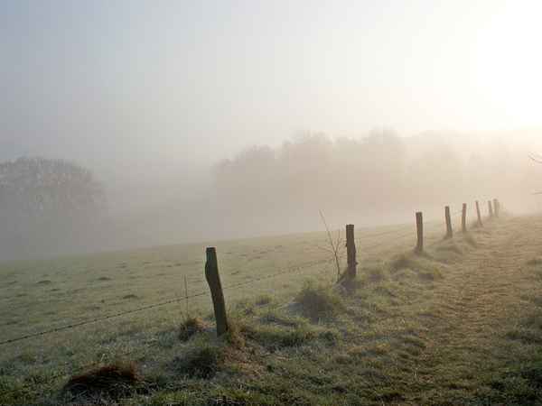 Morgennebel 10/04/2004