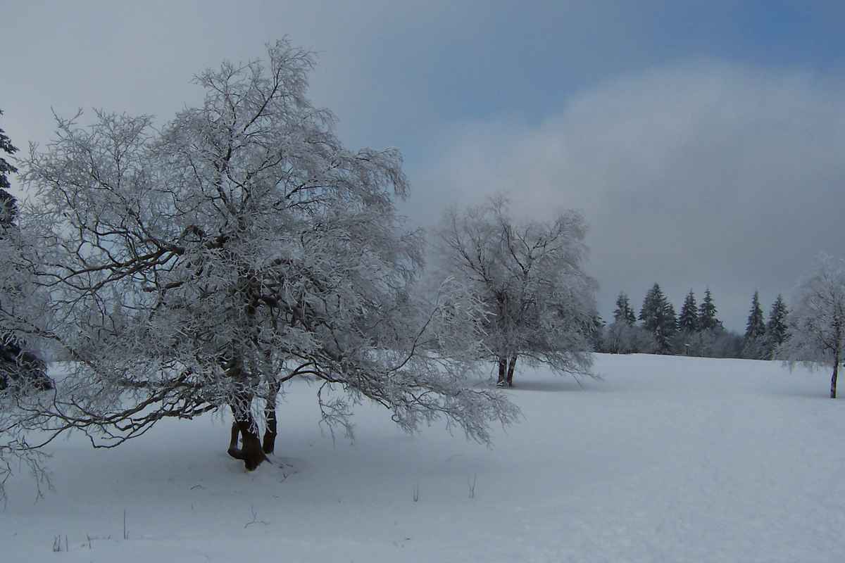 Winterberg