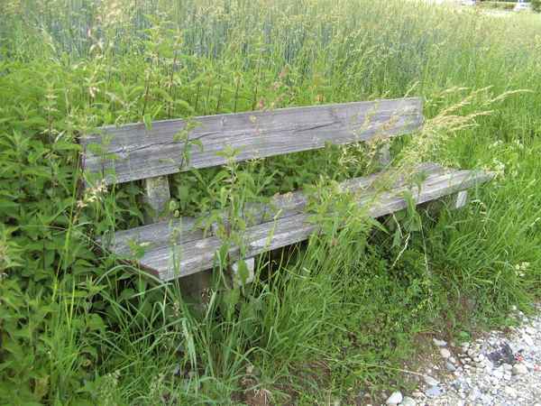 Alte Holzbank am Wegesrand mit Wiese