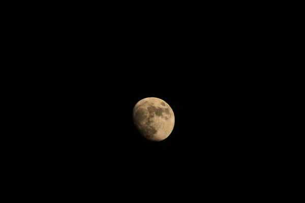 Mond I