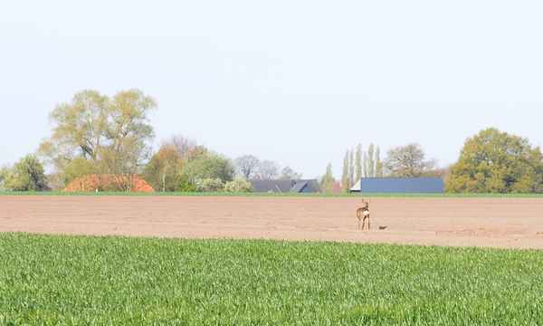 wo bleibst du?
