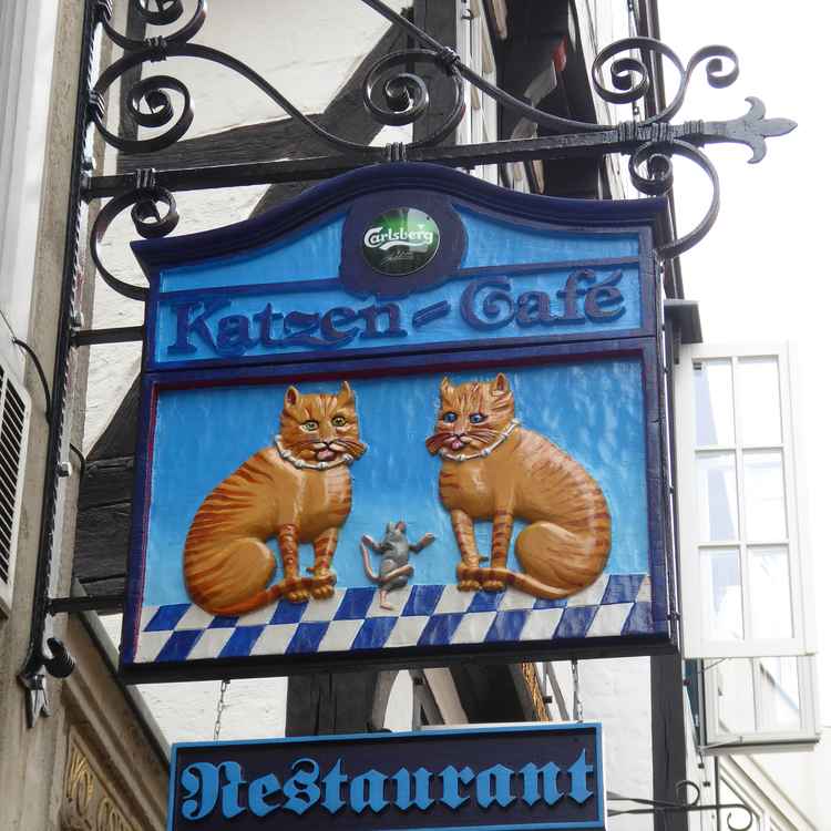 Wirtshausschild Katzen