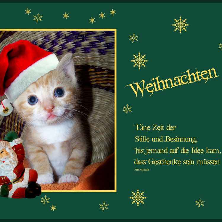 Weihnachtsgrüsse