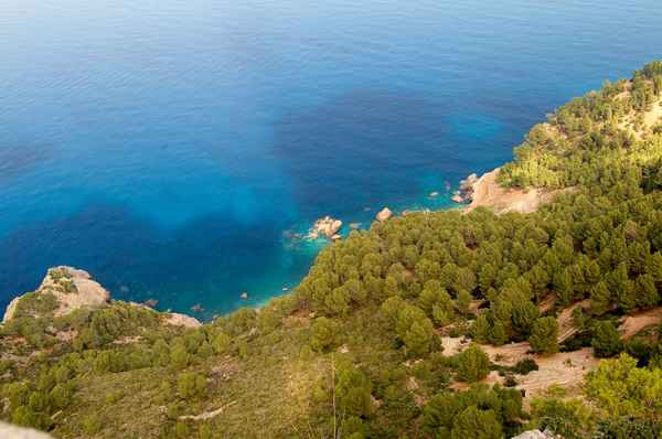 Luftaufnahme vom Stand von Paguera