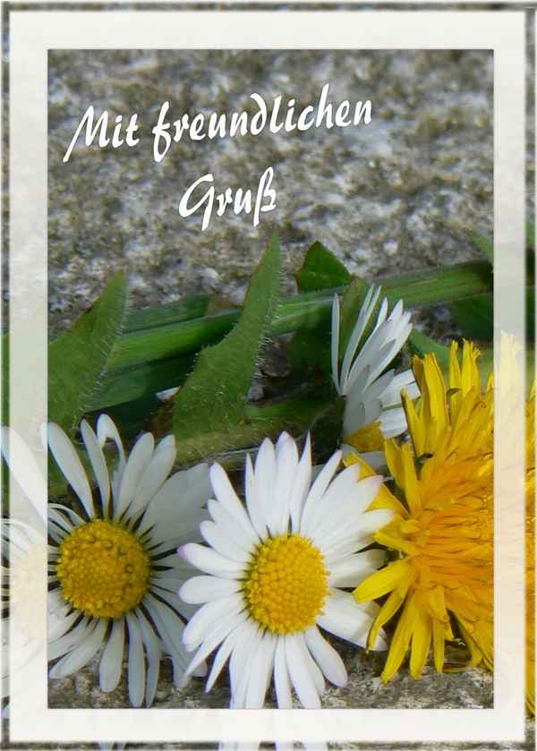 Mit freundlichen Gruß
