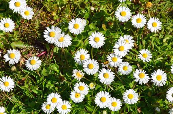 (Fast) alle im Fokus