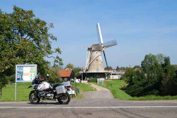 Die Kuh vor der Mühle