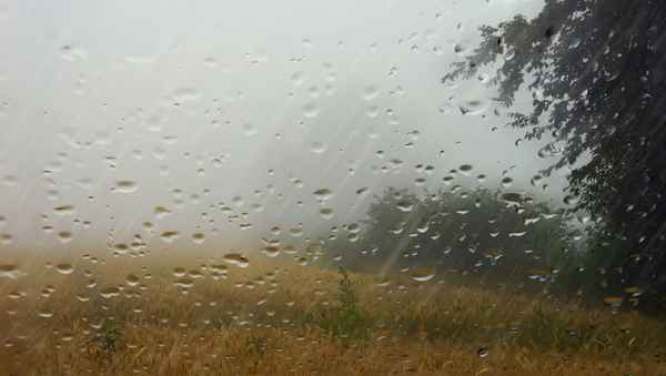 Sauwetter
