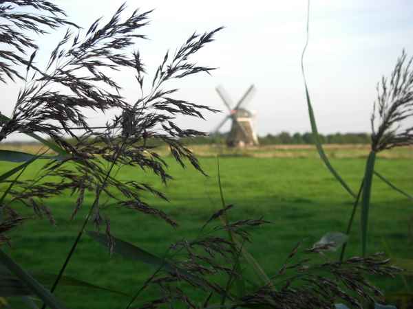 Blick auf die Wasserschleifmühle....