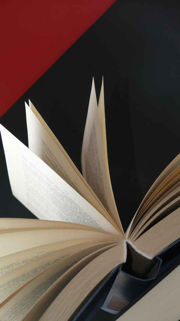 Wissensspeicher - Lies mal wieder